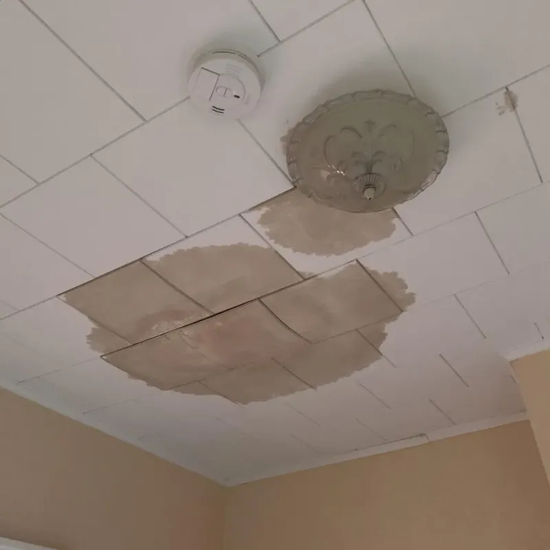 Ceiling Water Damage Repair in Kittson County, MN