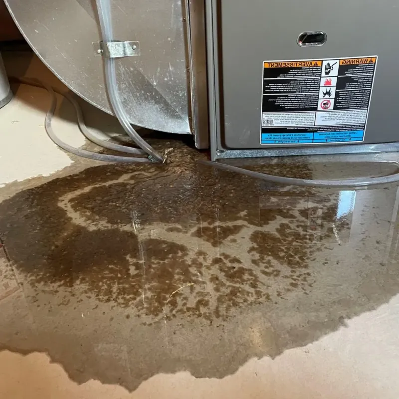 Pipe Burst and Leak Restoration in Kittson County, MN